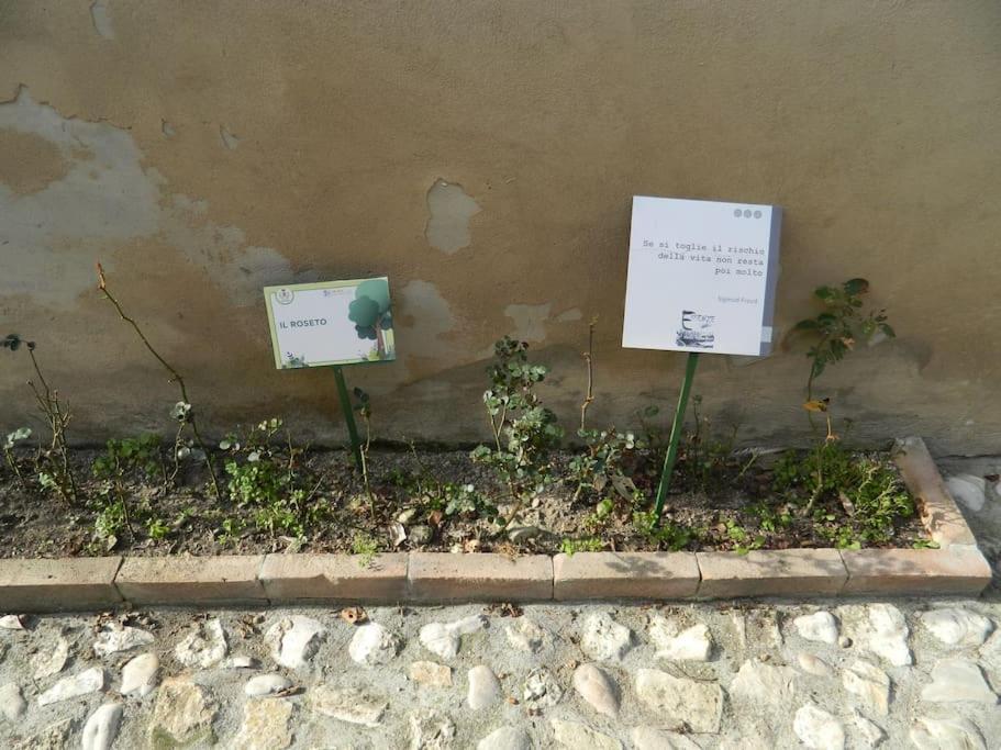 Ferienwohnung Casa Dell'Oliveto "Parcheggio Gratuito" Narni Exterior foto