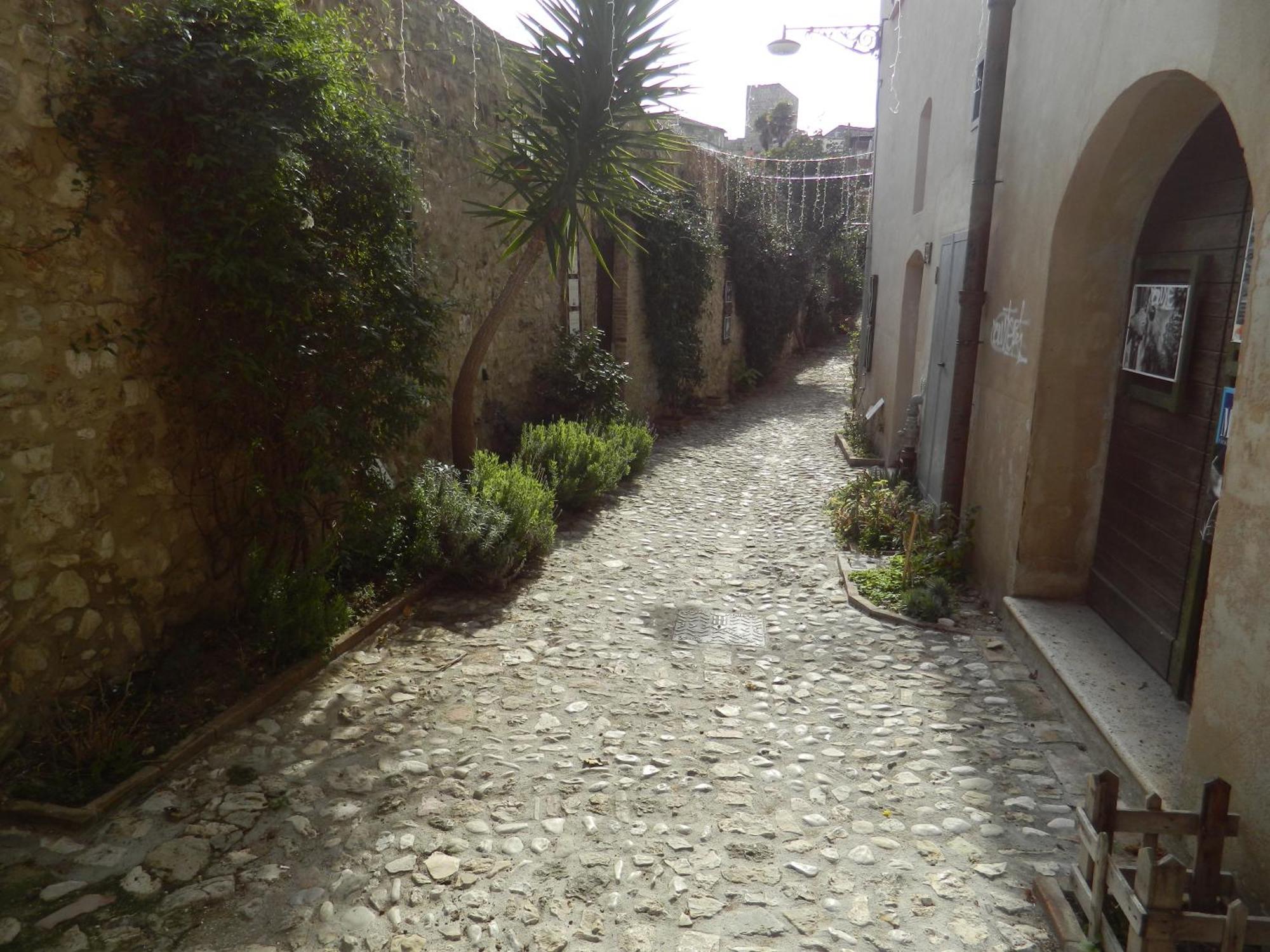 Ferienwohnung Casa Dell'Oliveto "Parcheggio Gratuito" Narni Exterior foto