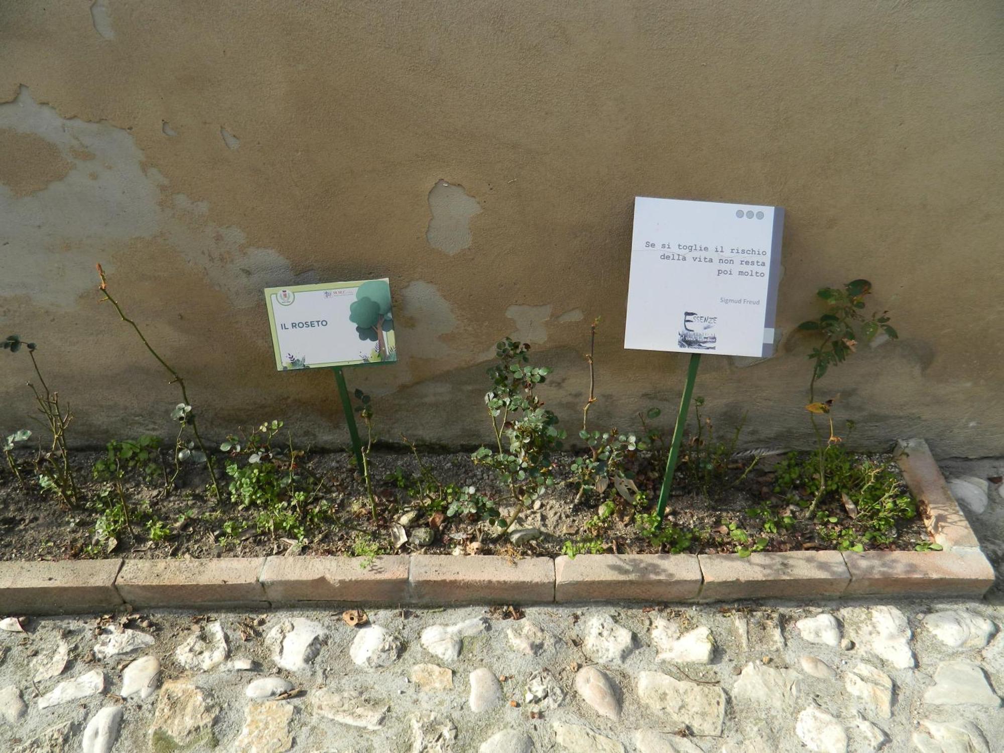 Ferienwohnung Casa Dell'Oliveto "Parcheggio Gratuito" Narni Exterior foto