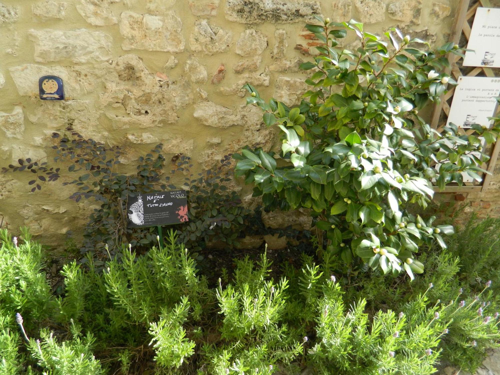 Ferienwohnung Casa Dell'Oliveto "Parcheggio Gratuito" Narni Exterior foto